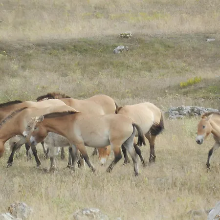 Maison De Vacance De Dom wakacyjny