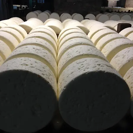 Dom wakacyjny Maison De Vacance De *