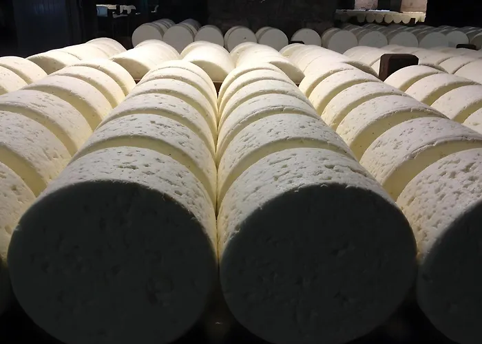 Dom wakacyjny Maison De Vacance De *